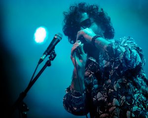 Festival Logo De Niemanders