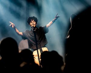 Festival Logo De Niemanders