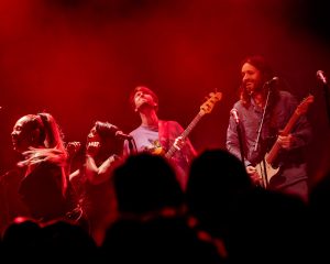 Festival Logo De Niemanders