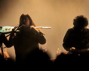 Festival Logo De Niemanders