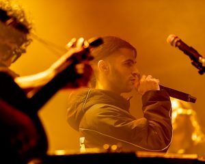 Festival Logo De Niemanders