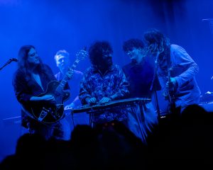 Festival Logo De Niemanders