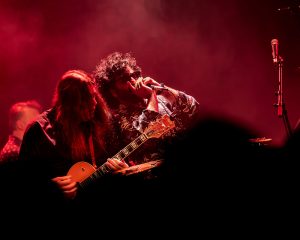 Festival Logo De Niemanders