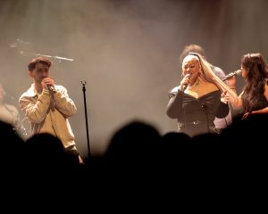 Festival Logo De Niemanders