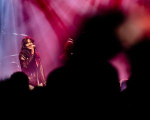 Festival Logo De Niemanders