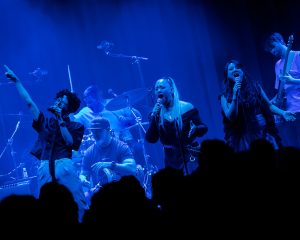 Festival Logo De Niemanders