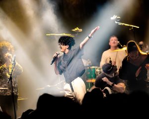 Festival Logo De Niemanders