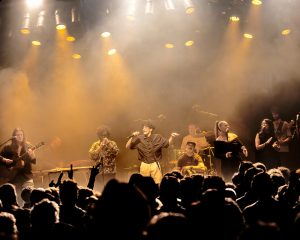 Festival Logo De Niemanders