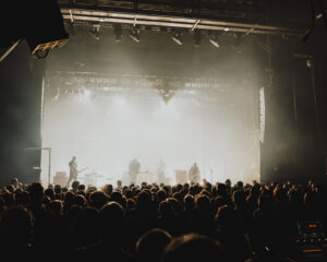 Festival Logo Mogwai