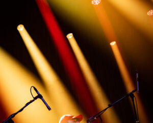 Festival Logo Stereolab