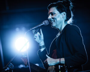 Festival Logo Stereolab