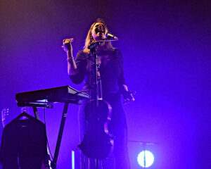 Festival Logo GOODWIN