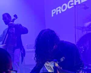 Festival Logo Alcest