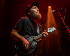 Festival Logo The Scratch