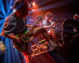 Festival Logo The Scratch