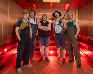 Festival Logo Steve ‘n’ Seagulls