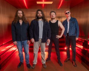 Festival Logo Steve ‘n’ Seagulls