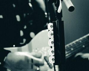 Festival Logo Beach Weather