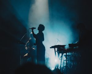 Festival Logo Warhaus