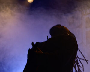 Festival Logo The Browning + Polar + The Defect