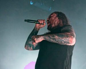 Festival Logo The Browning + Polar + The Defect