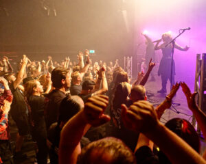 Festival Logo The Browning + Polar + The Defect