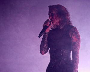 Festival Logo The Browning + Polar + The Defect