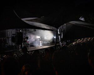 Festival Logo Eefje de Visser