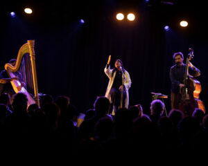 Festival Logo ganavya