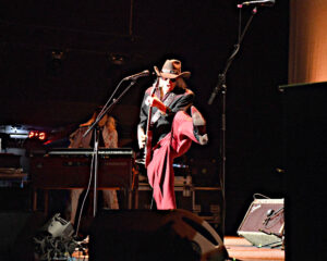 Festival Logo The Waterboys