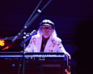 Festival Logo The Waterboys