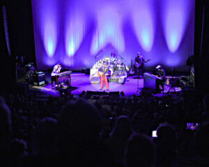 Festival Logo The Waterboys