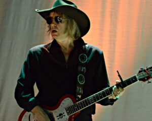 Festival Logo The Waterboys