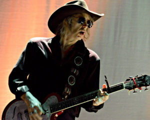 Festival Logo The Waterboys