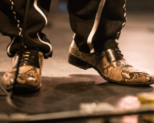 Festival Logo Samba Touré