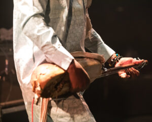 Festival Logo Samba Touré