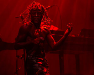 Festival Logo Prins S. en De Geit