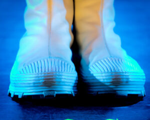 Festival Logo Prins S. en De Geit