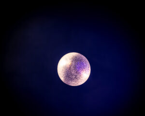 Festival Logo Prins S. en De Geit