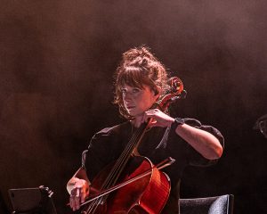 Festival Logo Matt Simons