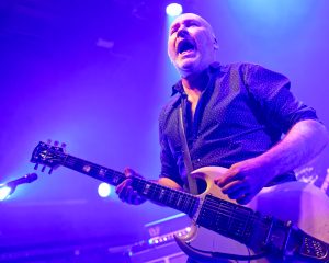 Festival Logo Spidergawd