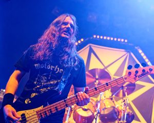 Festival Logo Spidergawd