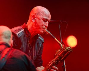 Festival Logo Spidergawd