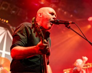 Festival Logo Spidergawd