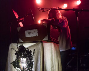 Festival Logo Steve von Till