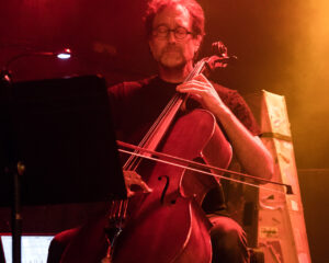 Festival Logo Steve von Till