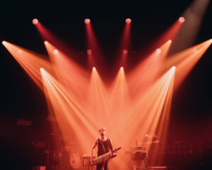 Festival Logo Goldkimono