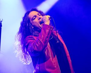 Festival Logo Magnapop