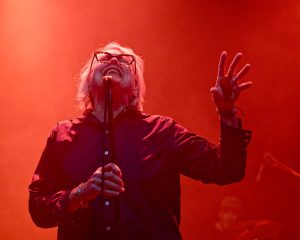 Festival Logo Magnapop