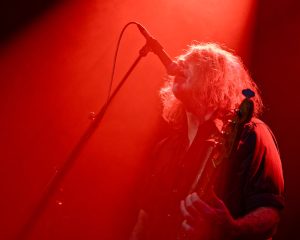 Festival Logo Magnapop